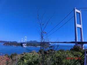 通所介護　遠出外出　来島海峡大橋